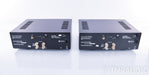 Cary Audio CAD-500MB Mono Power Amplifier