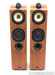 B&W 704 Floorstanding Speakers
