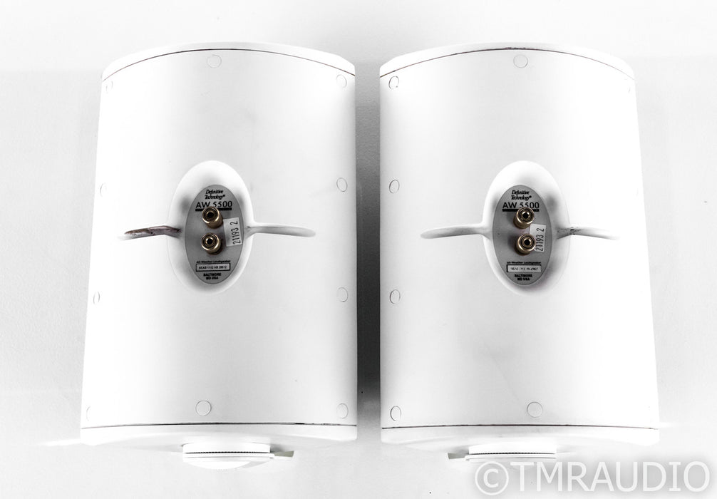 Definitive Technology AW 5500 Outdoor Speakers