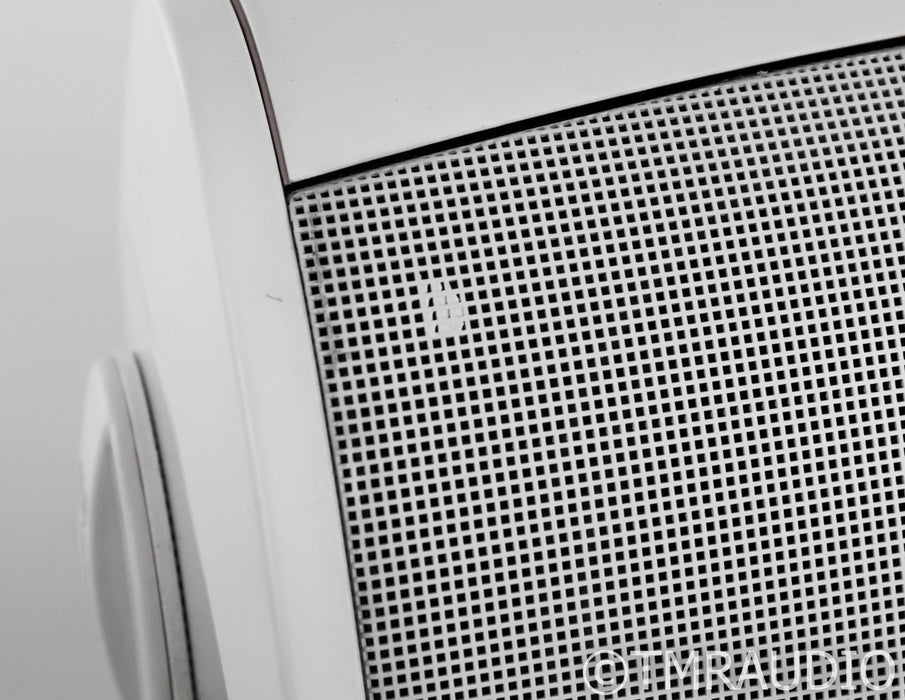 Definitive Technology AW 5500 Outdoor Speakers