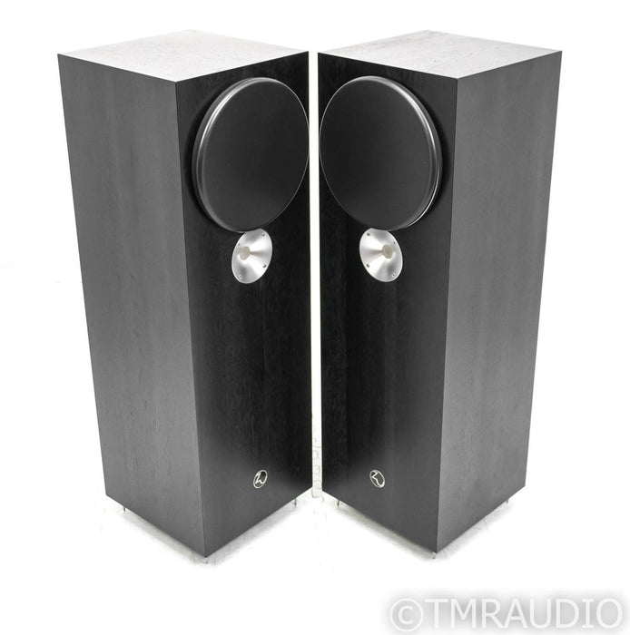 Zu Audio Omen Dirty Weekend Mk2 Floorstanding Speakers