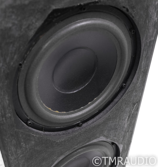 Wilson Audio WATT 2 / Puppy 1 Floorstanding Speakers