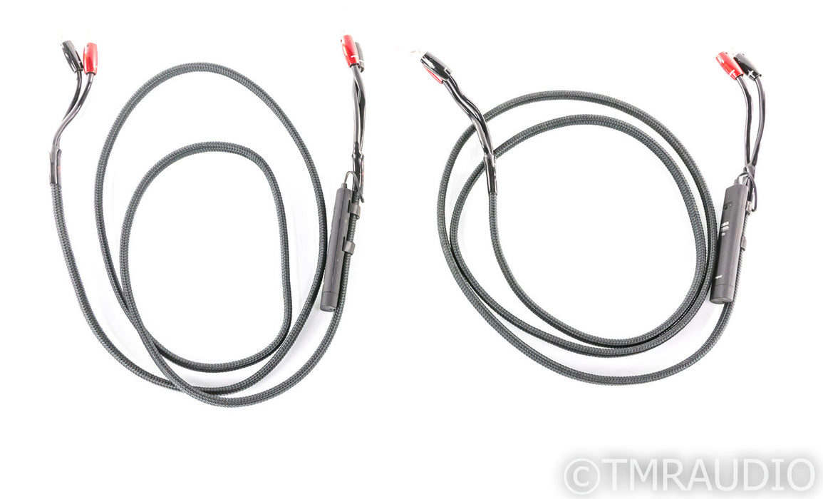 AudioQuest Rocket 88 Silver Plated Speaker Cables; 8ft Pair; 72v DBS