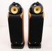 B&W 802D Floorstanding Speakers