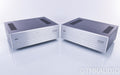 Cary Audio CAD-500MB Mono Power Amplifier