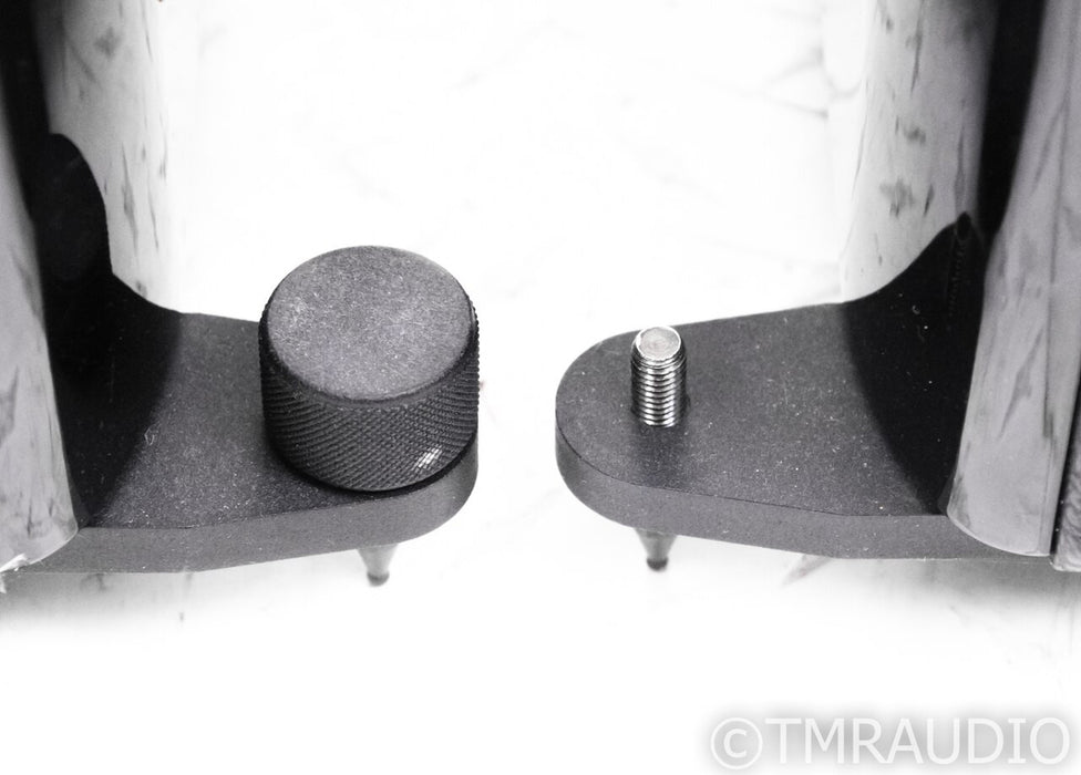 Sonus Faber Grand Piano Home Floorstanding Speakers