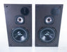 Infinity RSb Vintage Speakers