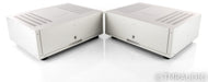 Concert Fidelity ZL120 FX Mono Power Amplifier