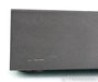 PS Audio Trio A-100 Stereo Power Amplifier; A100