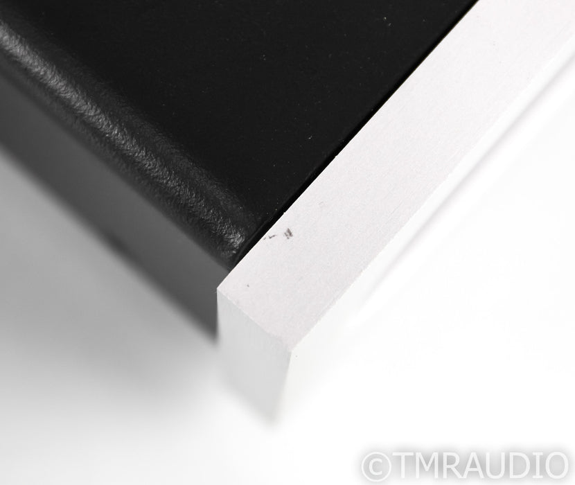 Bel Canto e.One REF1000 Mono Power Amplifier