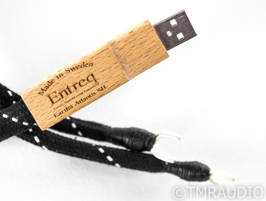 Entreq Eartha Atlantis SII USB Grounding Cable; Single 1.65m; S-II; S2