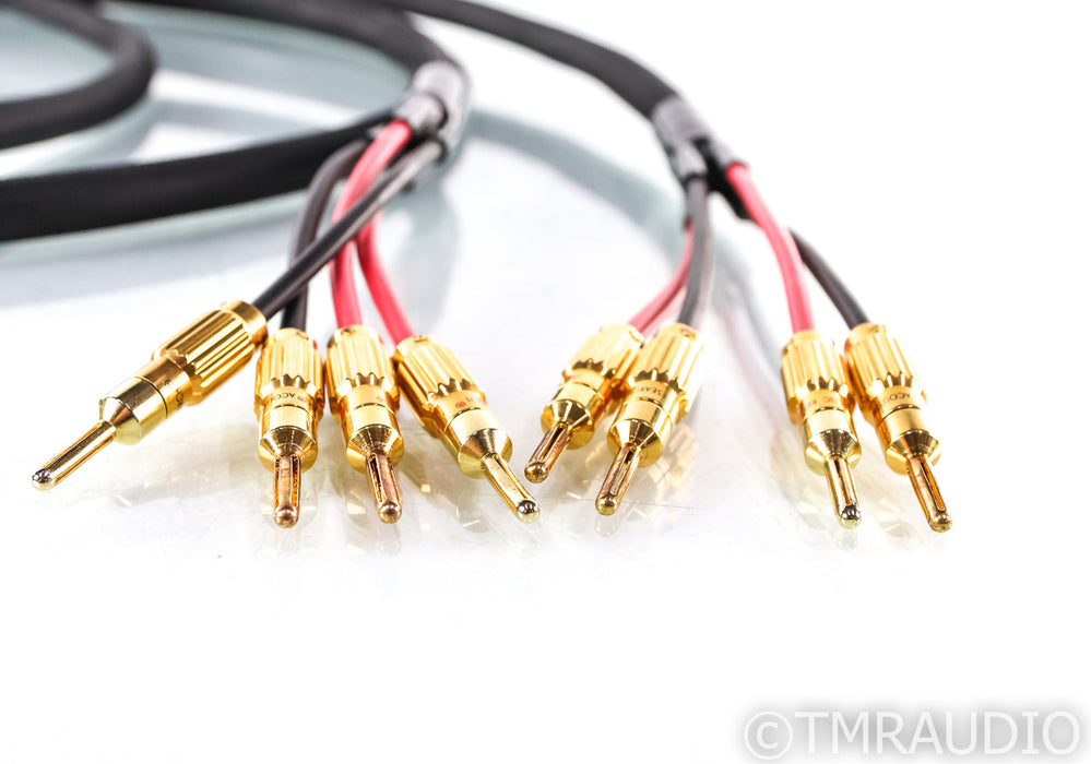 Acoustic Research Pro II Bi-Wire Speaker Cables; 3m Pair