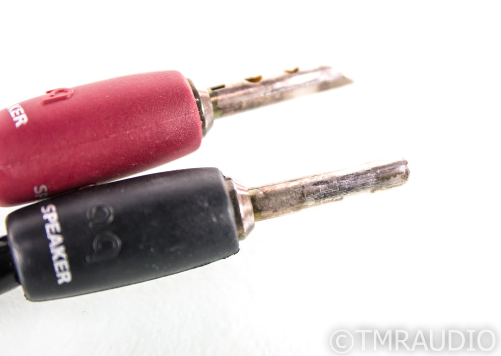 AudioQuest Type 4 Speaker Cables; 10ft Pair