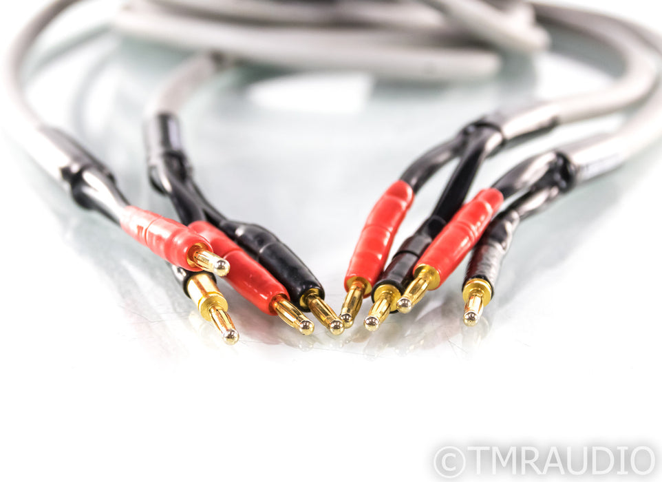 MIT Terminator 5 Speaker Cables; T5; 3m Pair