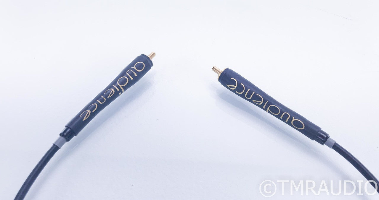 Audience Au24 RCA Digital Coaxial Cable; Single .5m Interconnect