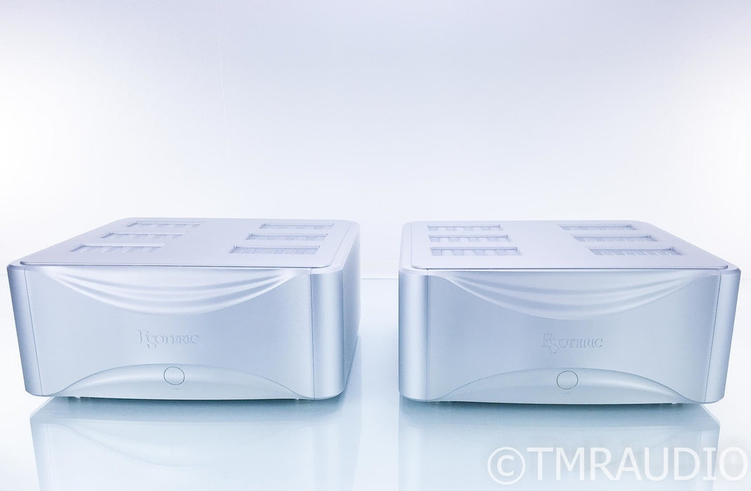 Esoteric Grandioso M1 Mono Power Amplifier