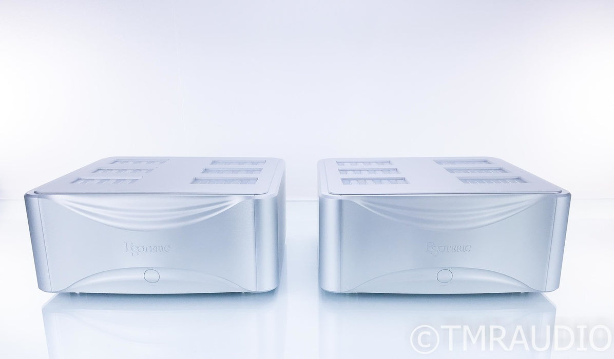 Esoteric Grandioso M1 Mono Power Amplifier
