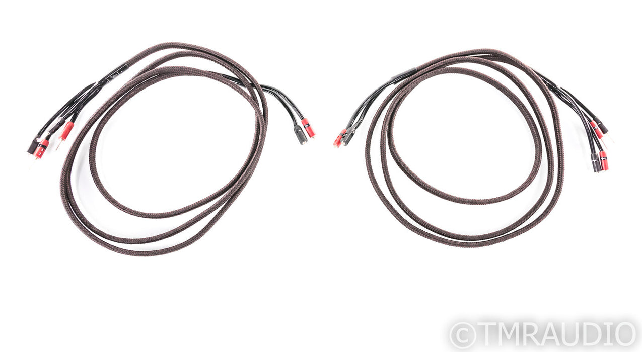 AudioQuest Rocket 33 Bi-Wire Speaker Cables; 10ft Pair