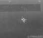 Cary Audio CAD 5500 Stereo Tube Preamplifier; CD Processor / Buffer; CAD-5500