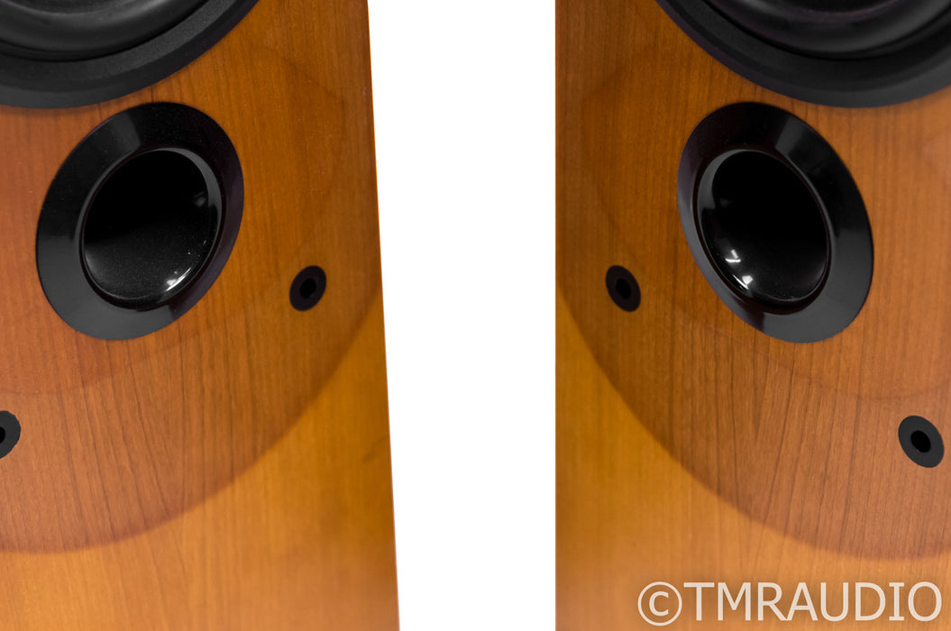 B&W P6 Floorstanding Speakers