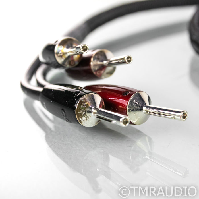 AudioQuest Rocket 44 Bi-Wire / Bi-Amp Speaker Cables; 6ft Pair