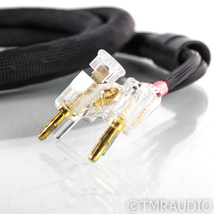 Kimber Kable Monocle X Speaker Cables; 2.5m Pair; WBT 0610 CU Terminations
