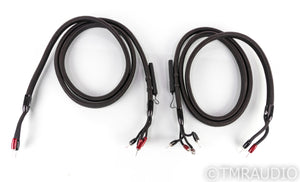 AudioQuest Oak Bi-Wire Speaker Cables; 10ft Pair; 72v DBS
