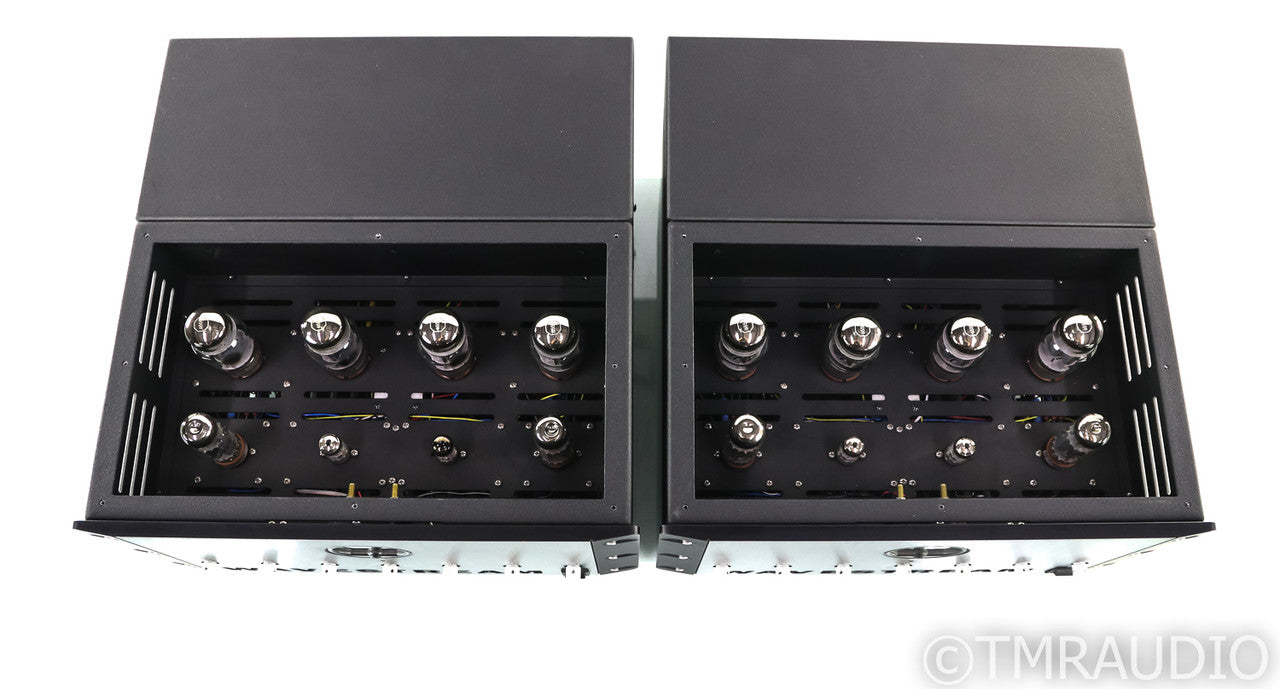 Wavestream Kinetics Boxter M100 Mono Tube Power Amplifier
