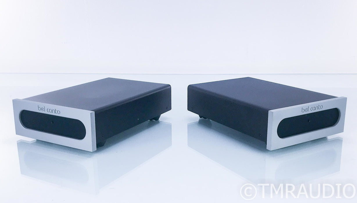 Bel Canto e.One M300 Mono Power Amplifier