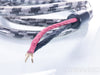 Straightwire Crescendo Bi-Wire Speaker Cables; 8ft Pair