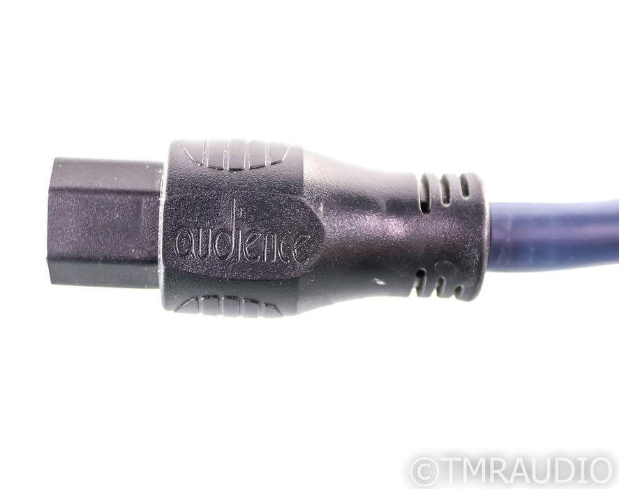 Audience Forte F3 Power Cable; 6ft AC Cord (1/0)
