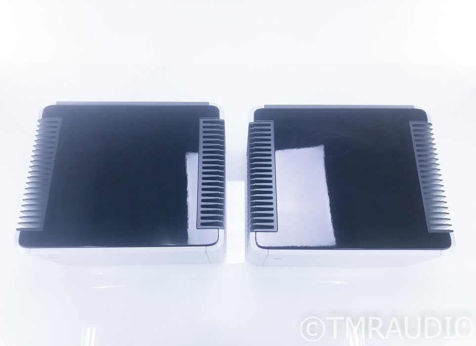 PS Audio BHK-300 Mono Power Amplifier