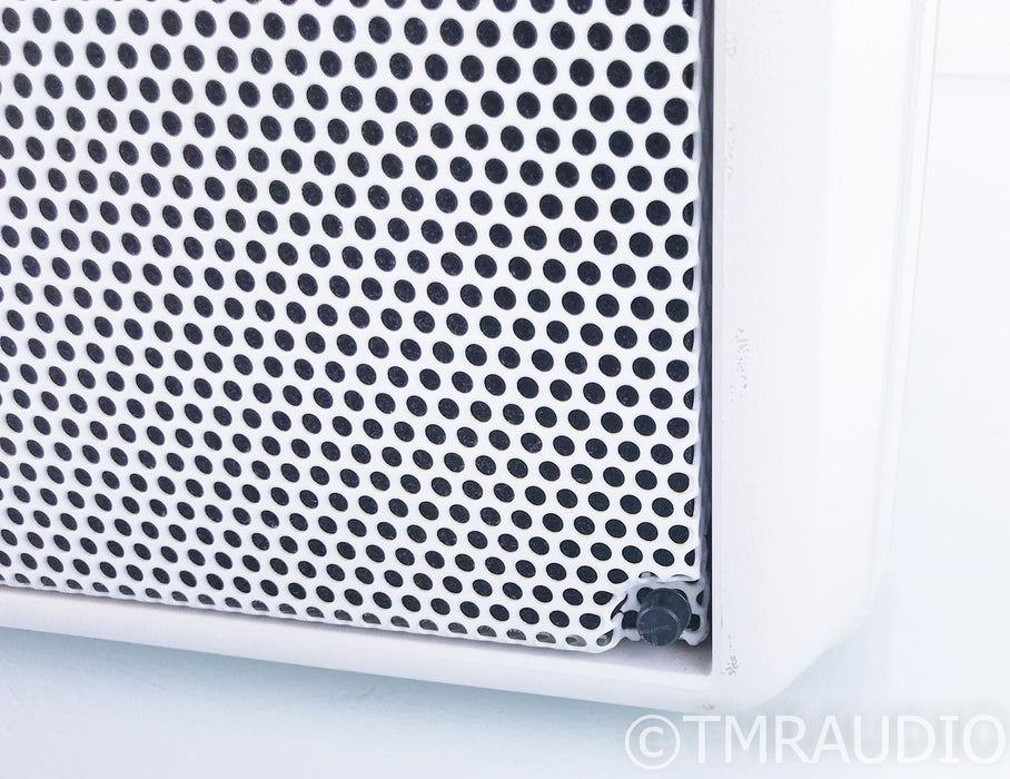 JBL Control SB210 Indoor / Outdoor Passive Subwoofer