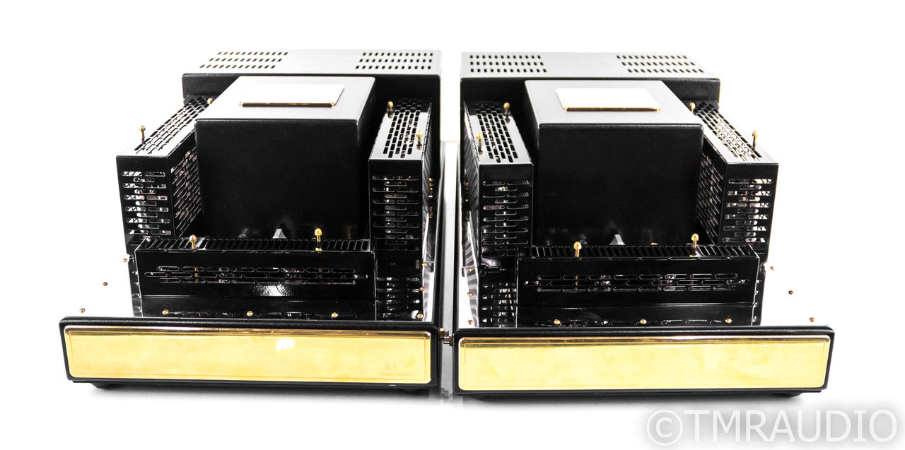 Convergent Audio Technology JL-1 Mono Tube Power Amplifier