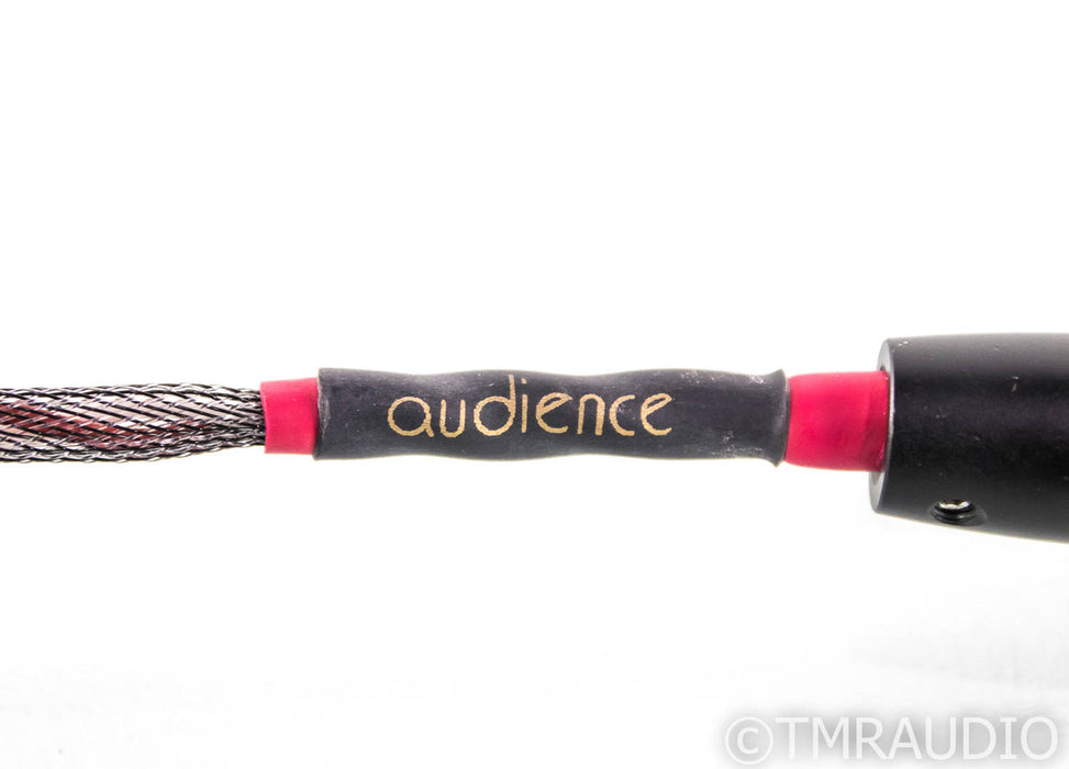 Audience OHNO RCA Cables; 2m Pair Interconnects