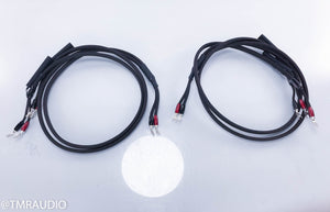 Audioquest Castle Rock 72V DBS Bi-Wire Speaker Cables