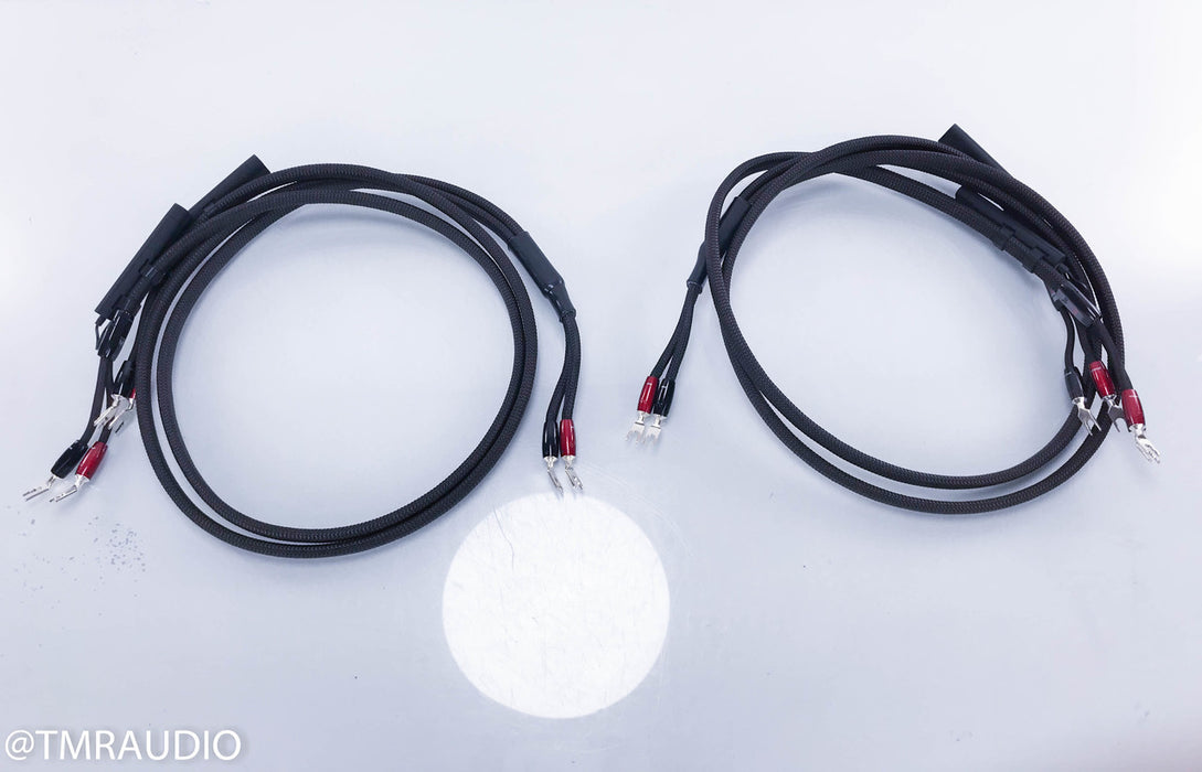 Audioquest Castle Rock 72V DBS Bi-Wire Speaker Cables