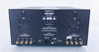 Audio Research Reference 110 Stereo Tube Power Amplifier