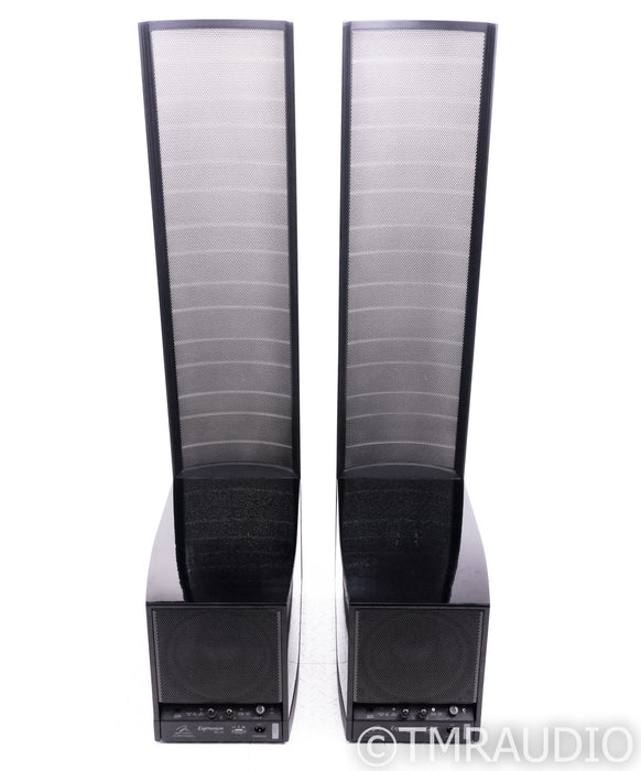 Martin Logan Expression ESL 13A Electrostatic Speakers