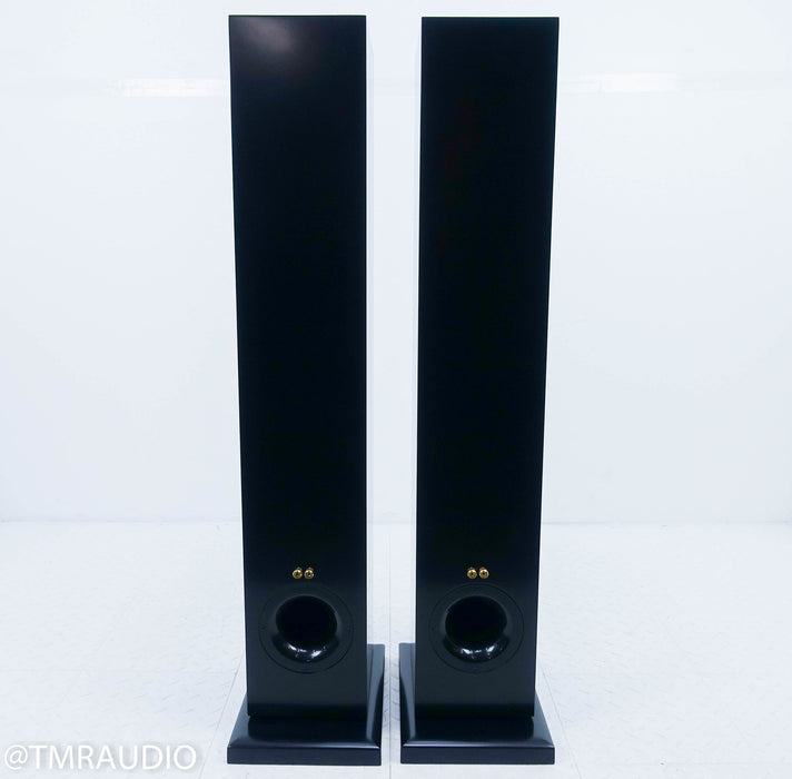 Salk Songtower QWT Floorstanding Speakers