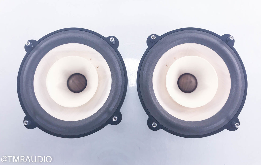 Voxativ AC-4X 8" Full Range Speaker Driver