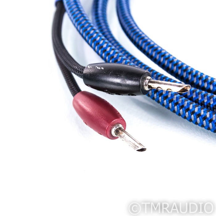 AudioQuest Type 4 Speaker Cables; 10ft Pair