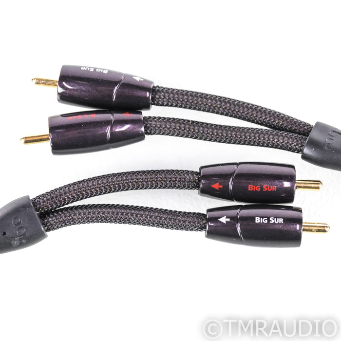 AudioQuest Big Sur RCA Cables; 2ft Pair Interconnects