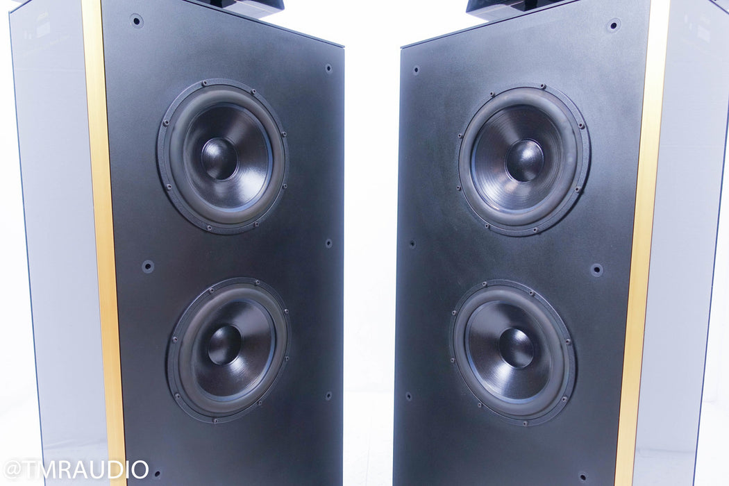 Meridian DSP 6000 Digital Active Floorstanding Speakers