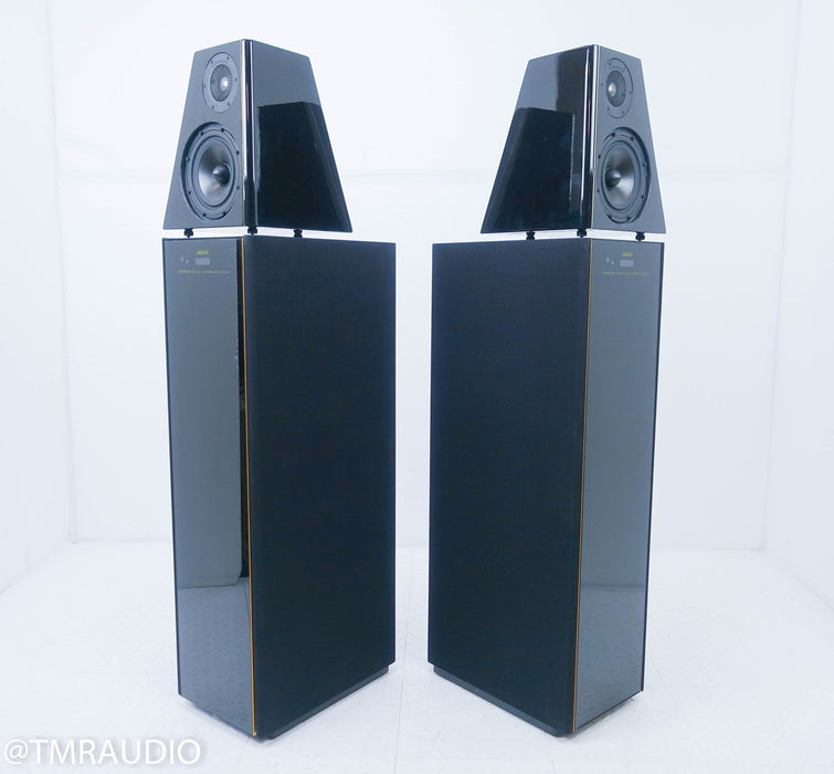 Meridian DSP 6000 Digital Active Floorstanding Speakers