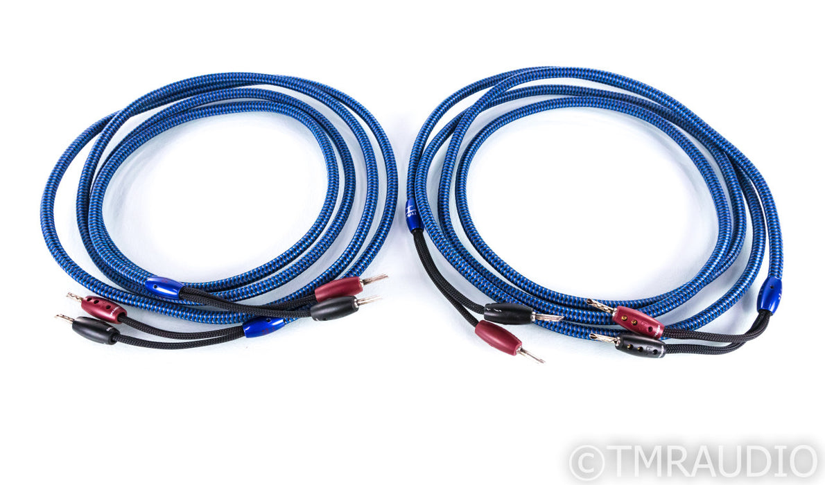 AudioQuest Type 4 Speaker Cables; 10ft Pair