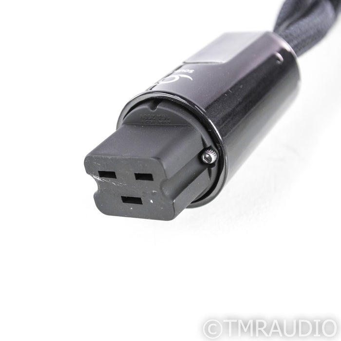 AudioQuest Hurricane Source 20A Power Cable; 1m AC Cord; 72V DBS (Demo)