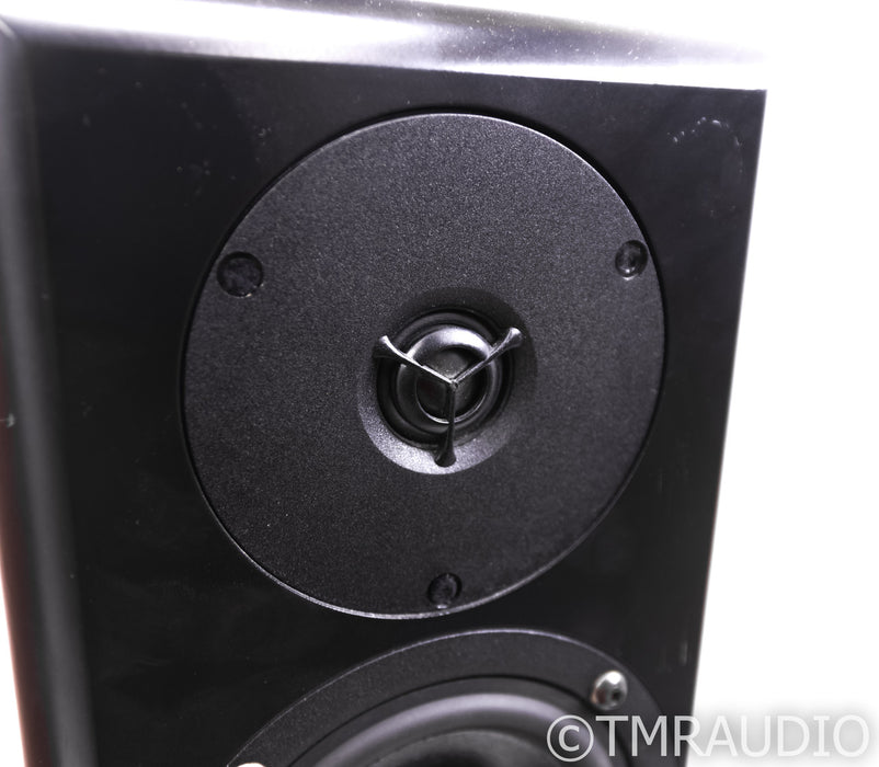 Audio Physic Virgo II Floorstanding Speakers