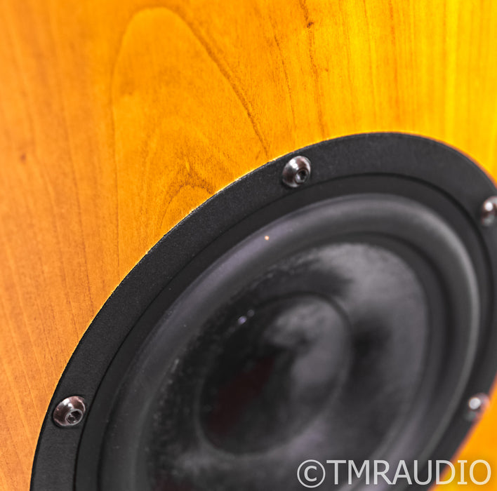 Audio Physic Virgo II Floorstanding Speakers