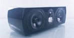 NHT Classic ThreeC Center Channel Speaker